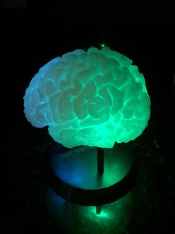 LED Brain